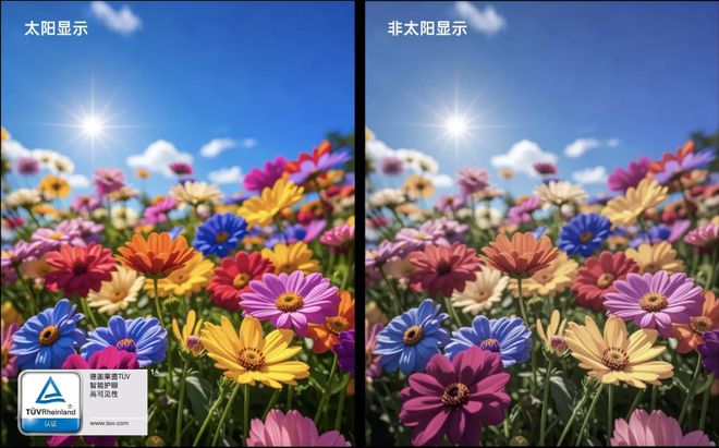 2299元起的性能猛兽游戏体验新标杆不朽情缘电子游戏一加Ace5评测(图24)